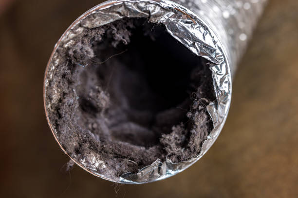 Best HVAC System Cleaning  in Otsego, MN